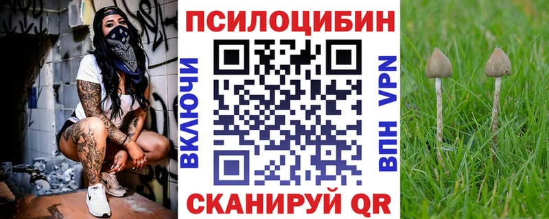 нарко площадка клад Вуктыл Галлюциногенные грибы MAGIC MUSHROOMS